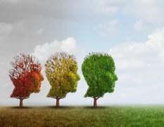 Transform Your Thinking: Signs You’re Ready for a Growth Mindset Shift